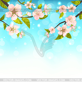 Cherry Blossom, Branches of Tree, Natural Glowing - royalty-free vector clipart