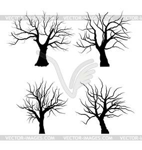 Коллекция множество деревьев Силуэты - векторизованное изображение