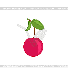 Single Cherry with Green Leaves - vector image