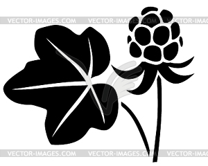 Cloudberry - vector image