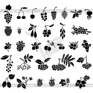 Berries set - vector clip art