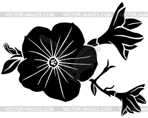 Petunia flower silhouette - vector clip art