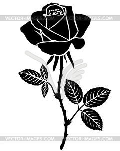 Rose flower silhouette - vector image