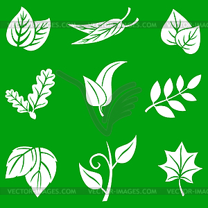Leaves set on green background - vector image