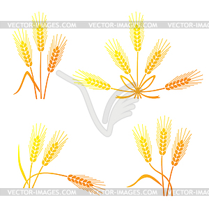 Cereals set - vector clipart