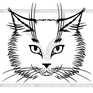 Cute cat muzzle - vector clipart