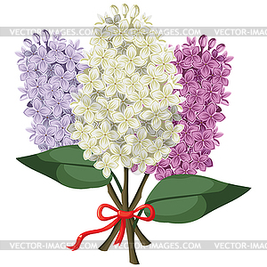 Bouquet of multicolored three branches of lilac - vector clipart