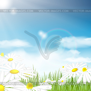 Bright summer background - vector clip art