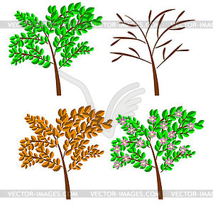 Seasonal trees - vector image