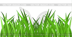 Grass . EPS 10 - vector clip art