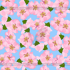 Oriental style painting, cherry blossom in spring - vector clipart