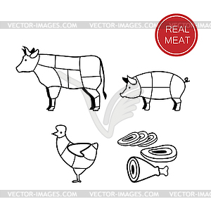 Real meat - vector image