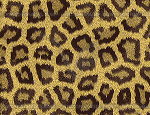 Texture of short sand color leopard fur - vector image