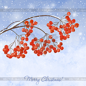 Winter background with branches rowan berry - vector clip art