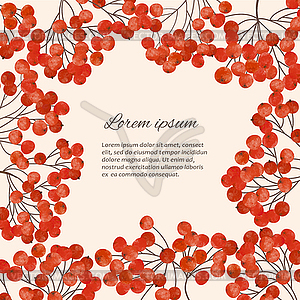 Llustration with branches rowan berry - vector clipart
