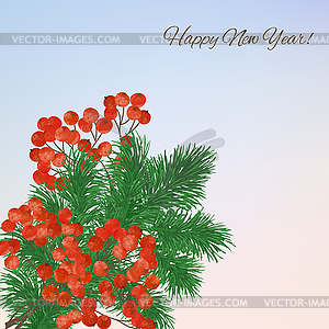 Winter background with branches rowan berry - vector image