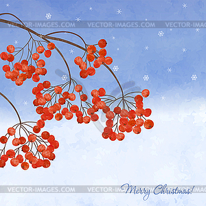 Winter background with branches rowan berry - vector clipart