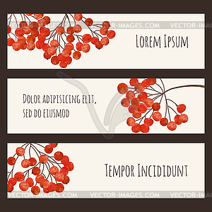 Set of stickers with branches rowan berry - vector clipart