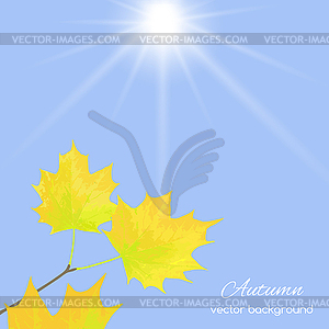 Autumn leaves against sky - vector clipart