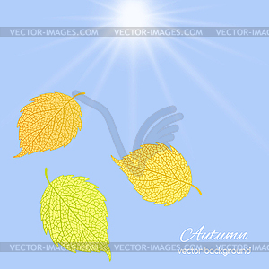 Leaves against sky - royalty-free vector clipart