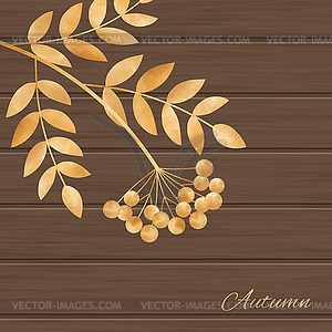 With leaves and rowanberry - color vector clipart