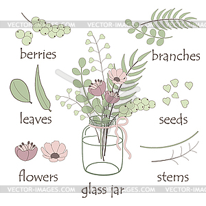 Elements of botany - vector clipart