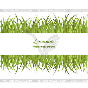 Spring card with grass - vector image