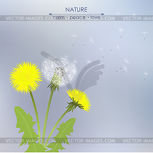 Spring dandelion flowers - vector image