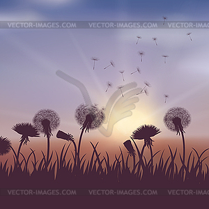 Spring dandelion flowers - vector clipart