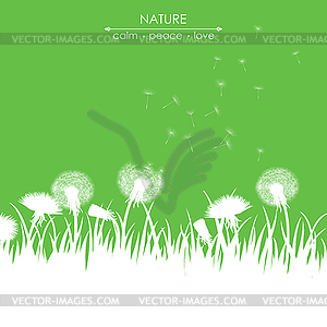 Dandelions on green background - vector image