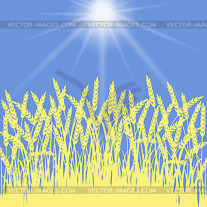 Golden wheat - vector image