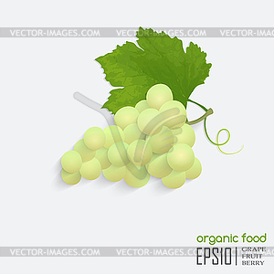 Grape - vector clipart