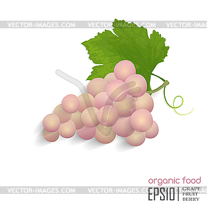 Grape - vector clipart