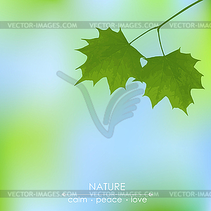 Maple leaves on blurred background - vector image