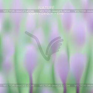 Elegant blurred with spring flowers - vector image