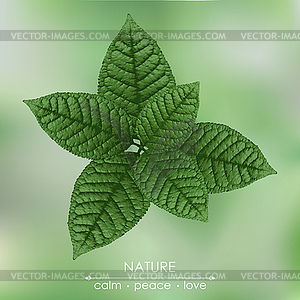 llustration с весенними листьями - иллюстрация в векторе