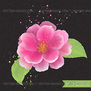 Beautiful watercolor - vector image