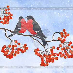 Winter card with bullfinch - vector clipart