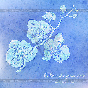 Orchid branch design with copy-space - vector image