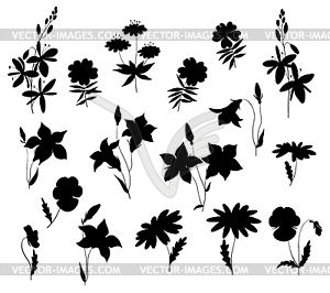Silhouettes of wild flowers - white & black vector clipart