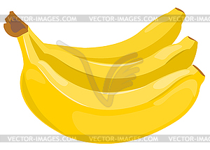 Sheaf of bananas - vector clipart