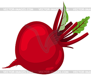 Red beet - vector clipart