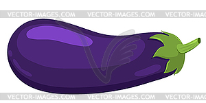 Eggplant - vector clip art