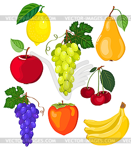 Fruit set - vector image