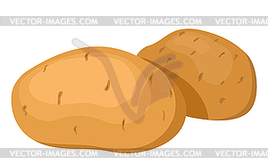 Potatoes - vector clipart