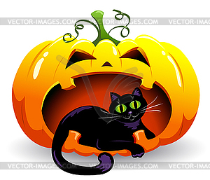 Pumpkin and cat - royalty-free vector clipart