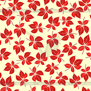 Seamless virginia creeper pattern - vector clip art