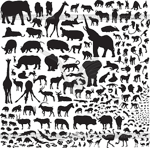 All the animals of Africa - vector clip art