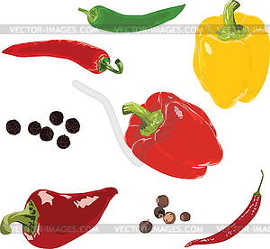 Different peppers on a white background - vector image
