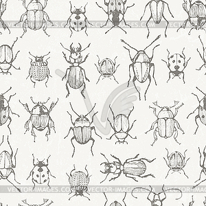 Seamless monochrome pattern with bugs - vector image